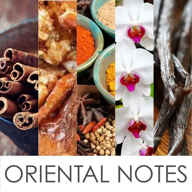 Oriental Notes in Fragrances | Warm & Exotic Scents – Smile Europe