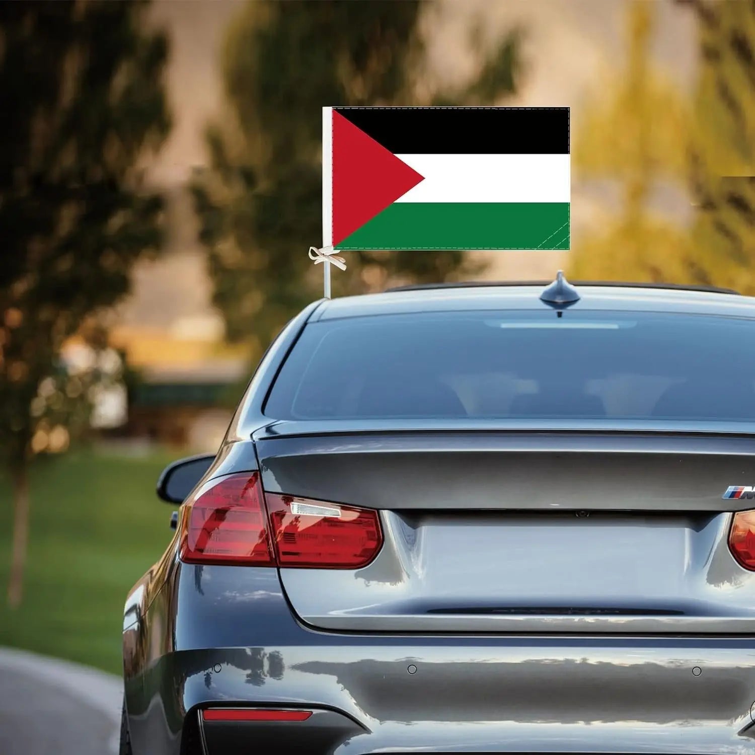 12pcs x Palestine Car Flag Window Clip Flag Solidarity Flag 30x34cm Smile Europe